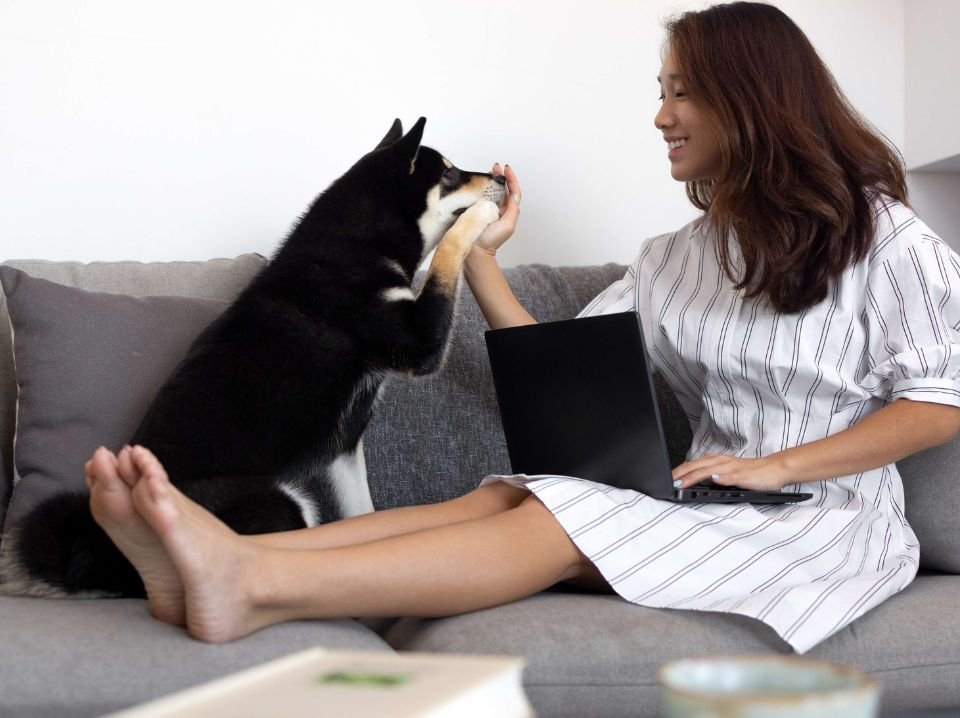 Sit Happens: Hilariously Honest Dog Training Tips for Every Puppy Parent