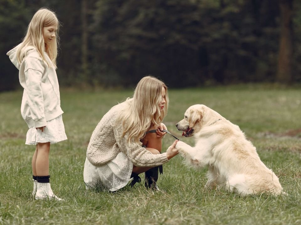 Pawsport Ready: The Ultimate (and Hilarious) Guide to Traveling with Pets